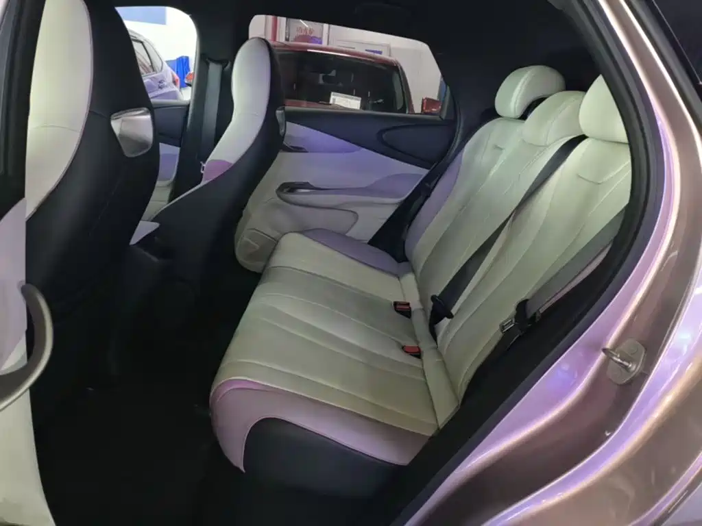 BYD Dolphin 2022 2021 405km Freedom Edition