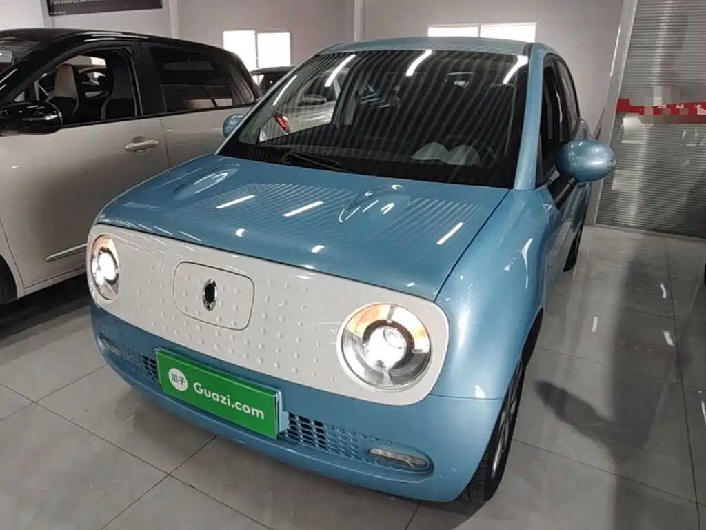 Ora Black Cat 2021 351km Standard Model