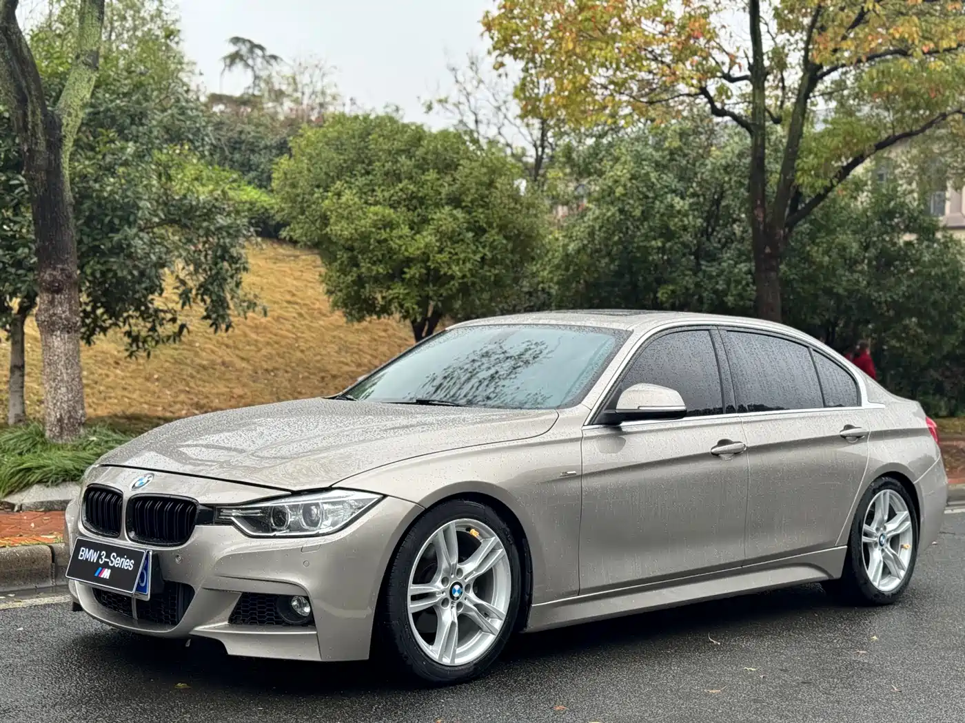 BMW 3 Series 2015 328Li Luxury Design Package