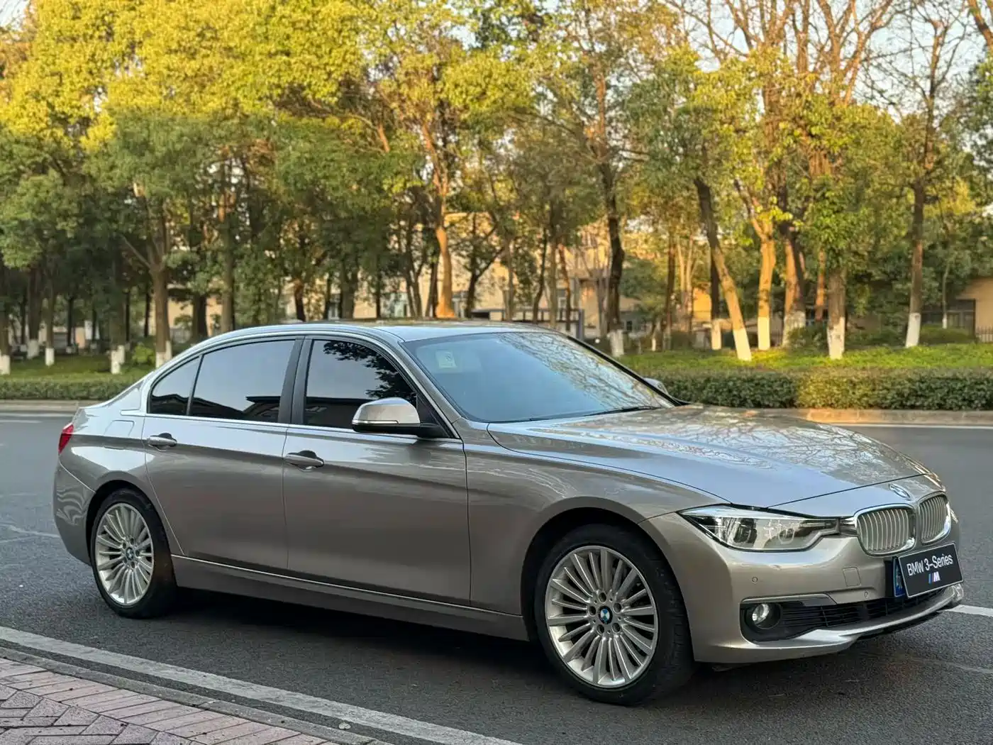 BMW 3 Series 2018 320Li Fashion Style фото 3