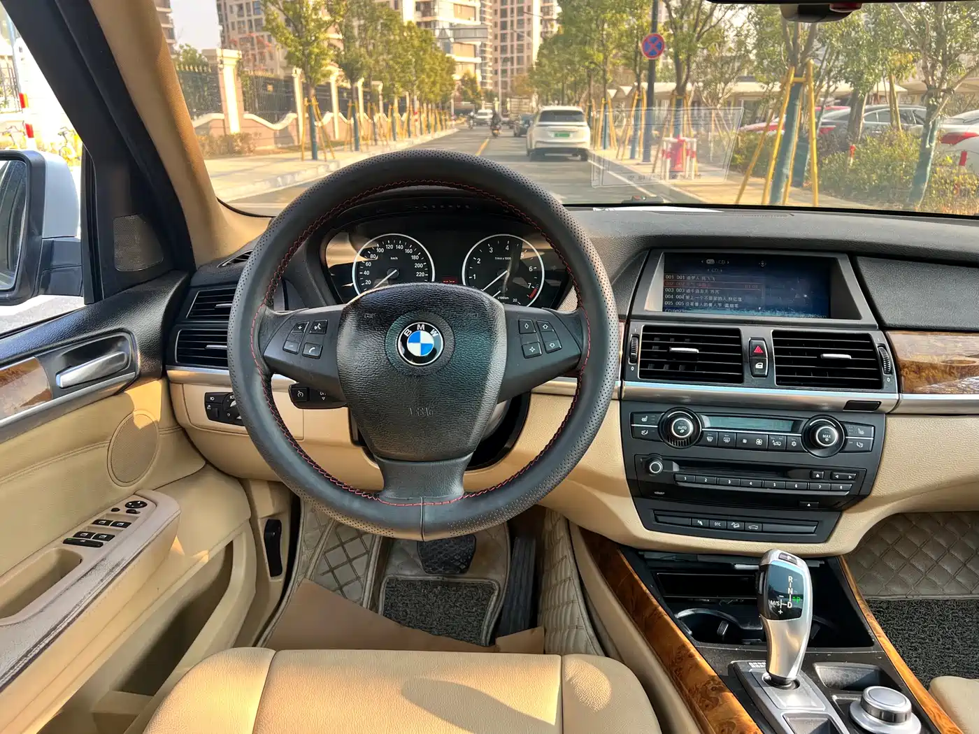 BMW X5 (Import) 2009 xDrive30i Luxury фото 10