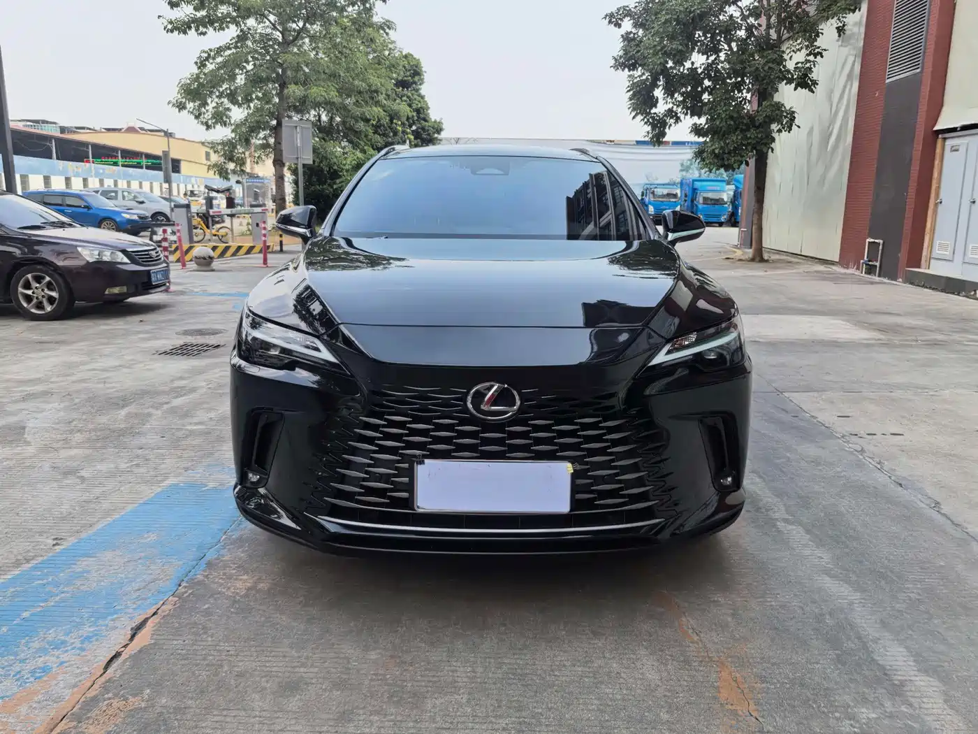 2025 Lexus RX