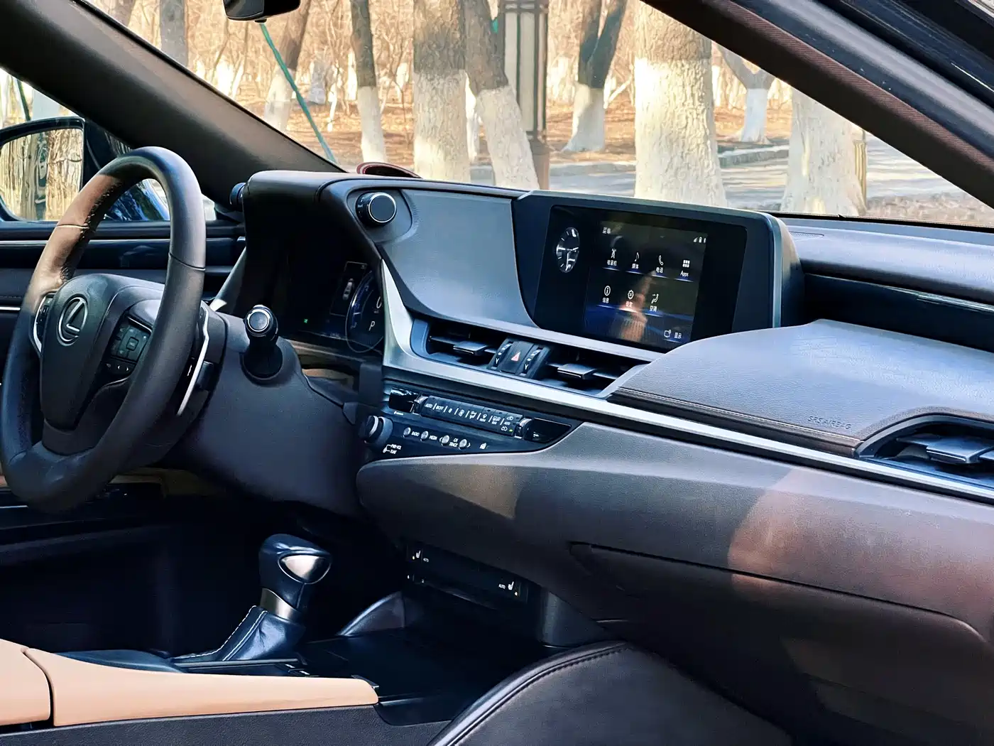 Lexus ES 2018 200 Excellence Edition China V фото 29