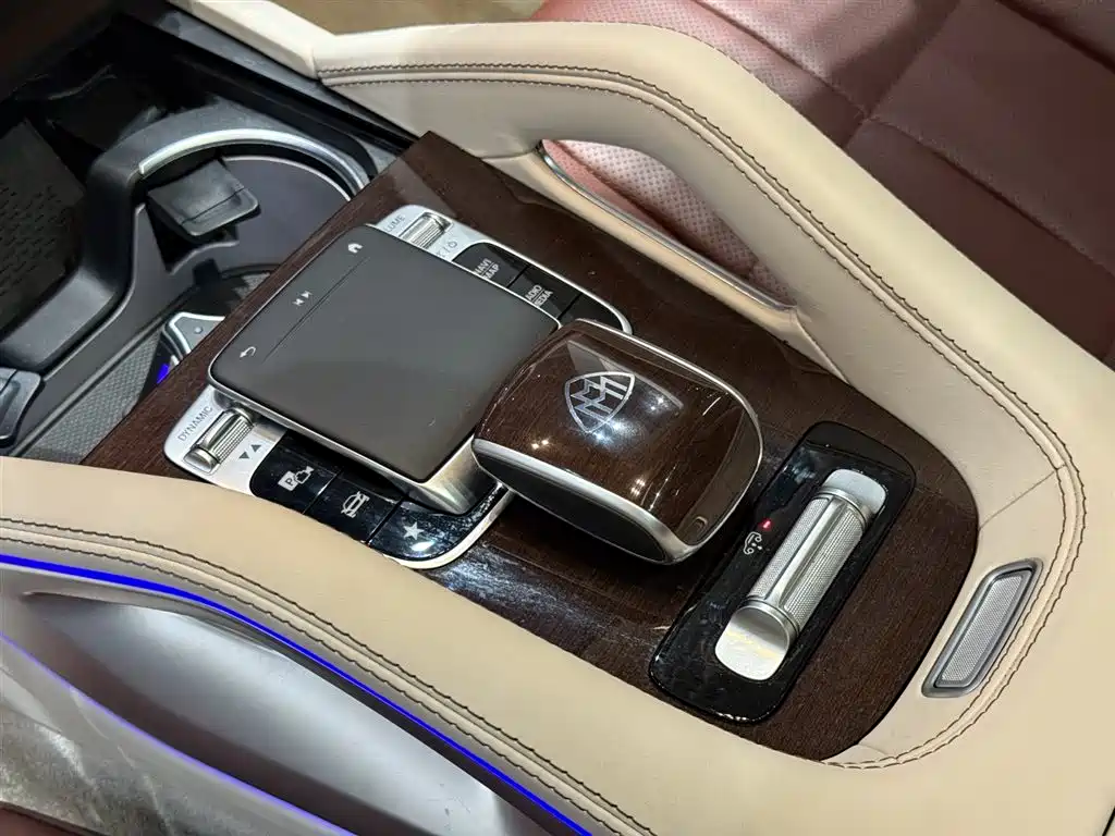 Mercedes-Benz Maybach GLS 2021 GLS 480 4MATIC фото 12