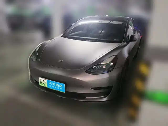 Tesla Model 3 2021 Standard Range Rear-Wheel Drive Upgrade 3D6 — фото 1