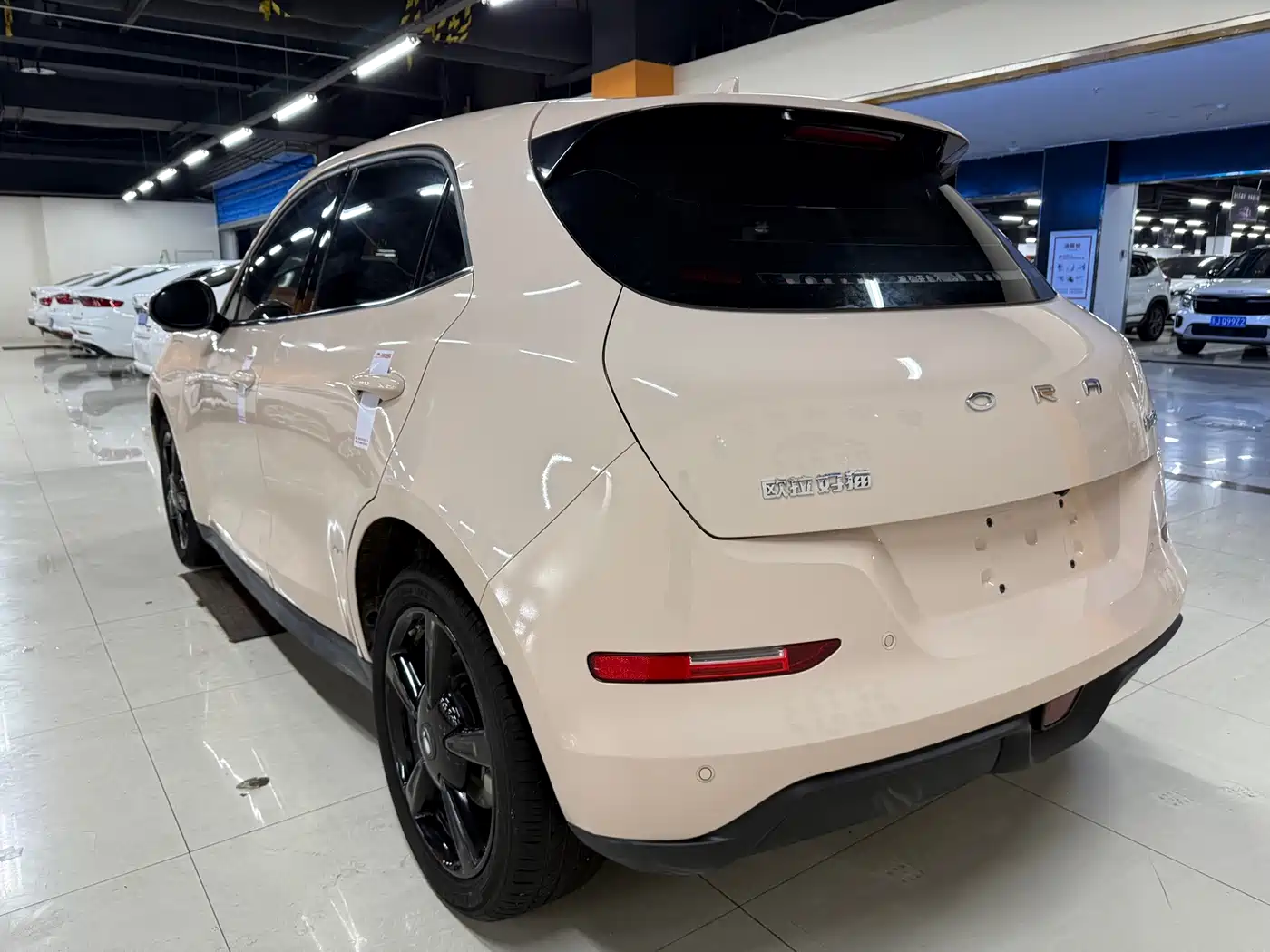 Ora Good Cat 2025 2024 401km Luxury
