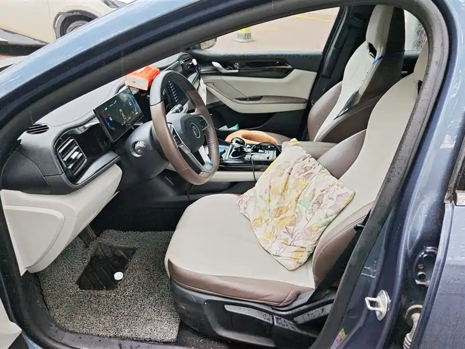 BYD Qin PLUS 2024 Glory Edition DM-i 55KM Leading фото 9