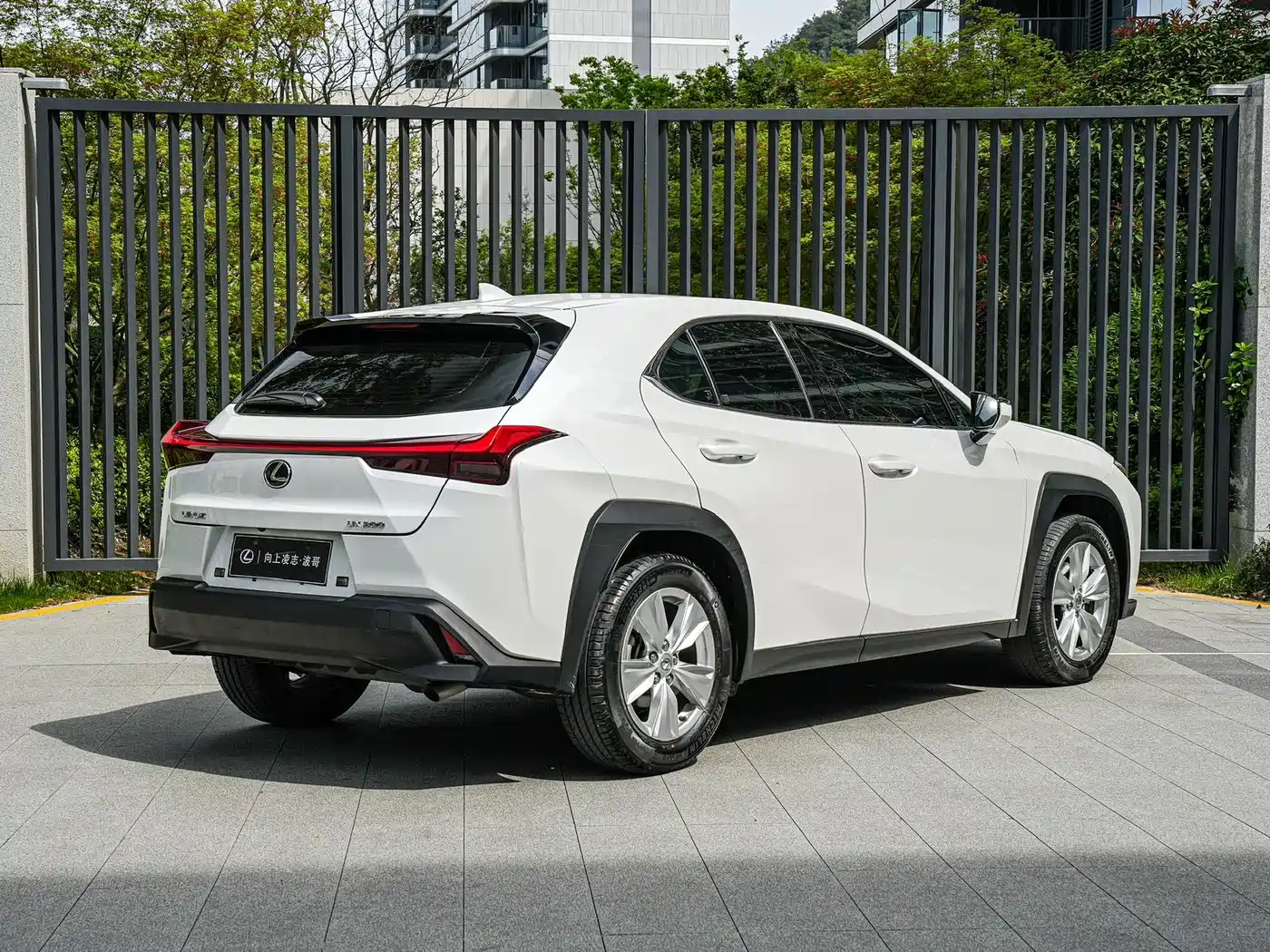 Lexus UX 2020 200 Special Edition фото 4