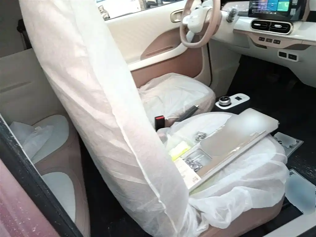 Geely Galaxy Panda 2025 Panda mini 210km Vitality Bear фото 25