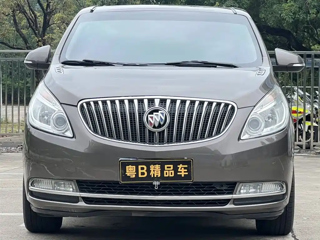 Buick GL8 2014 2.4L CT Luxury Business Comfort фото 2