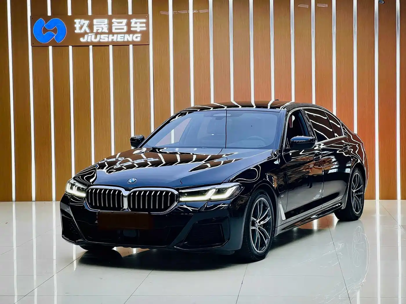BMW 5 Series New Energy 2021 535Le Pioneer Edition M Sport Package