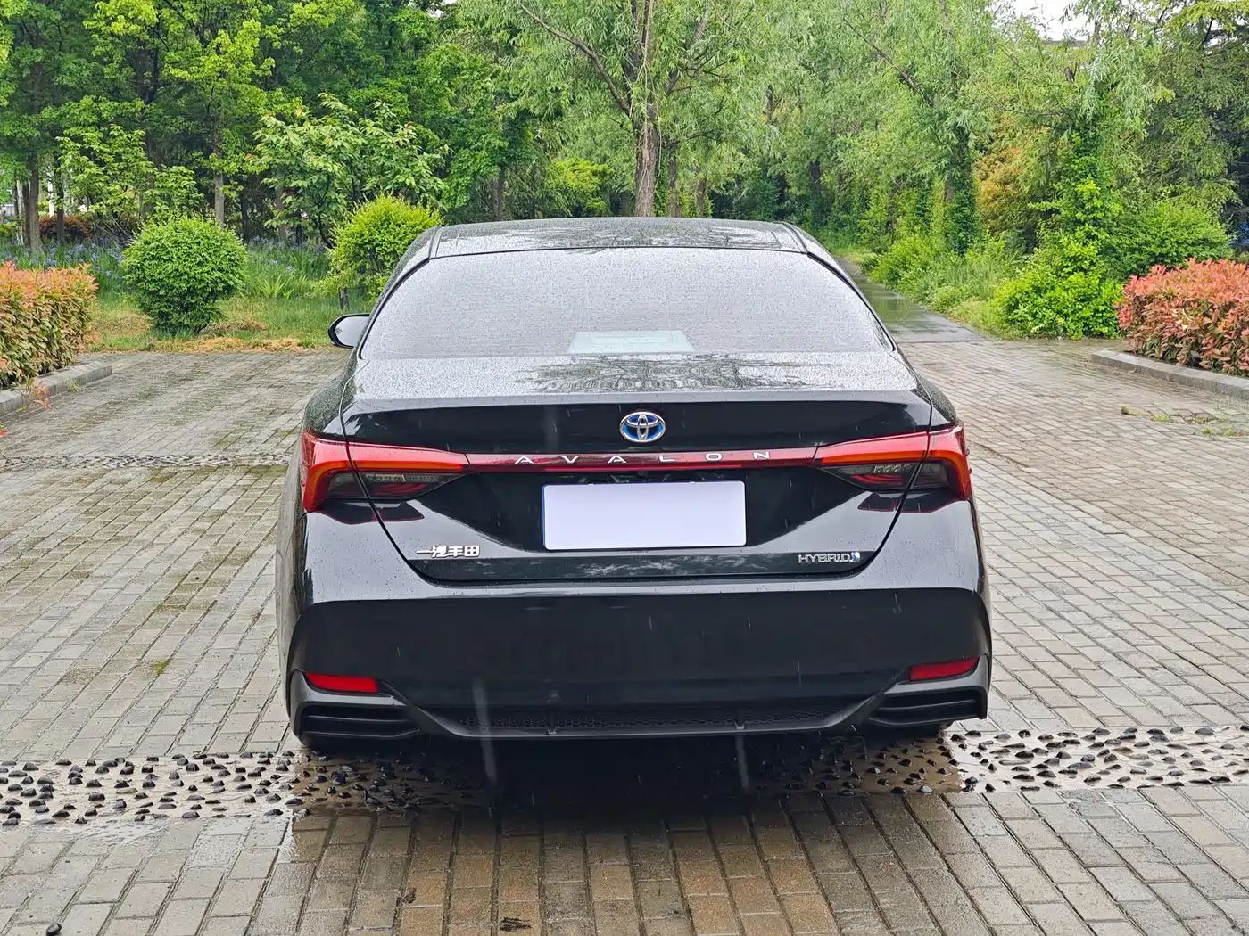 Toyota Avalon 2019 Hybrid 2.5L Luxury Edition China V фото 9
