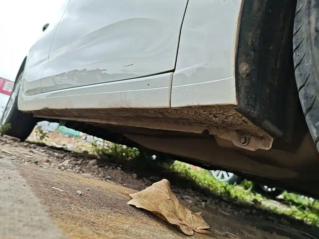 Фото 21 - Chevrolet Monza