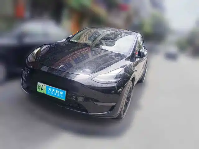Tesla Model Y 2021 Standard Range Rear-Wheel Drive — фото 1