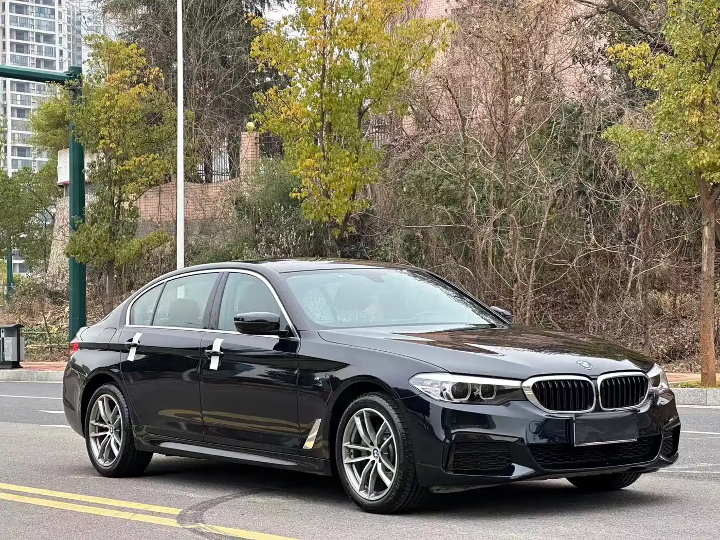 BMW 5 Series 2020 525Li M Sport Package фото 3