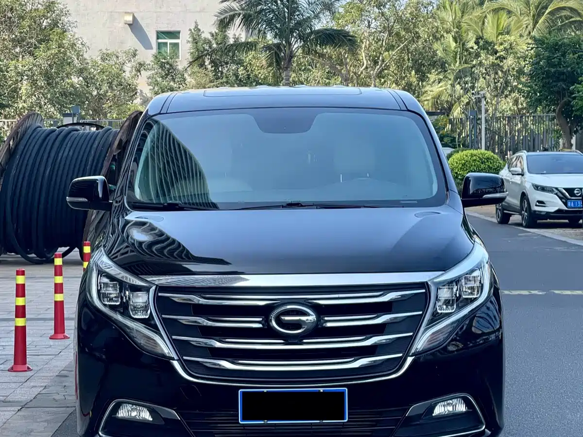 GAC Trumpchi Trumpchi M8 2018 320T Premium Edition фото 2