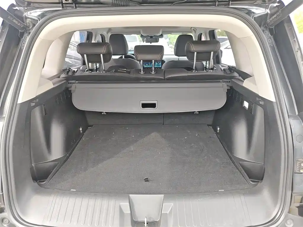 Haval Big Dog 2021 1.5T DCT 2WD Border Collie Edition фото 15