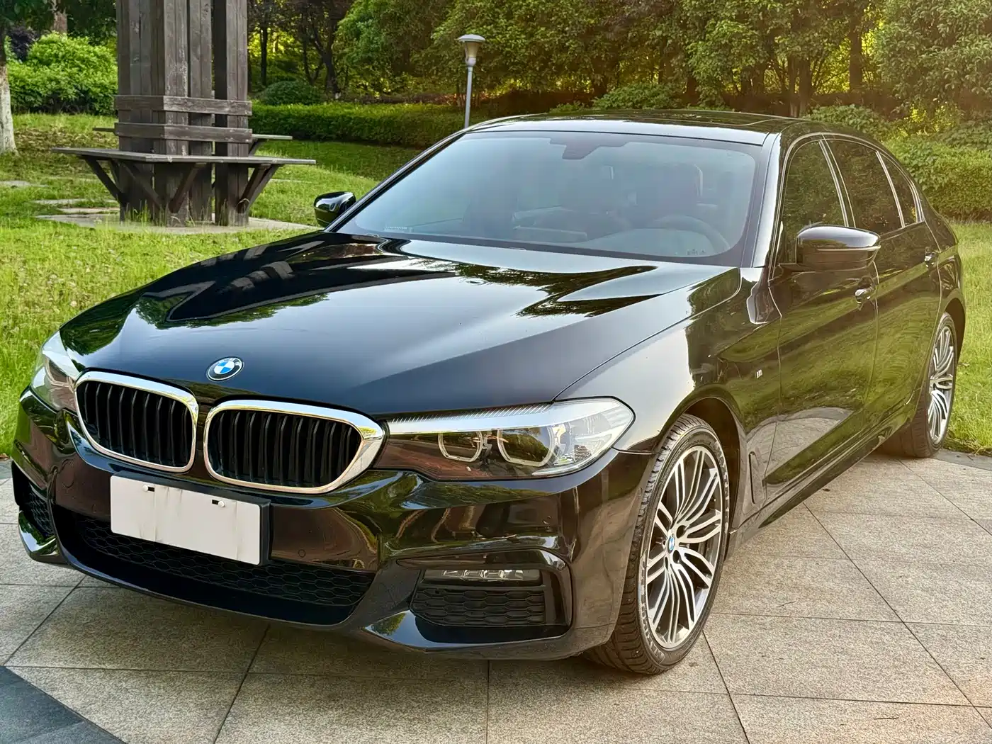BMW 5 Series 2019 530Li Leading M Sport Package фото 8