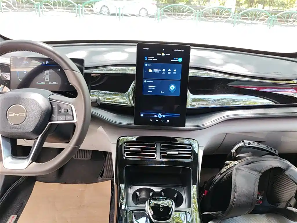 BYD Qin PLUS 2024 Glory Edition DM-i 55KM Leading фото 9