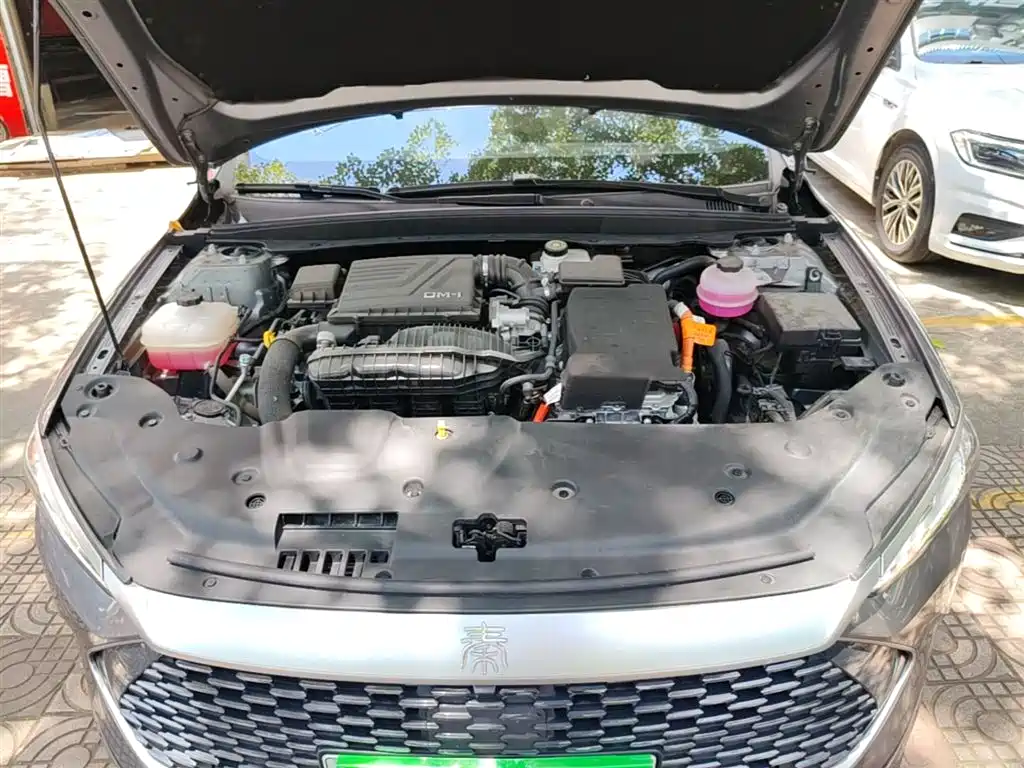 BYD Qin PLUS 2024 Glory Edition DM-i 55KM Leading фото 16