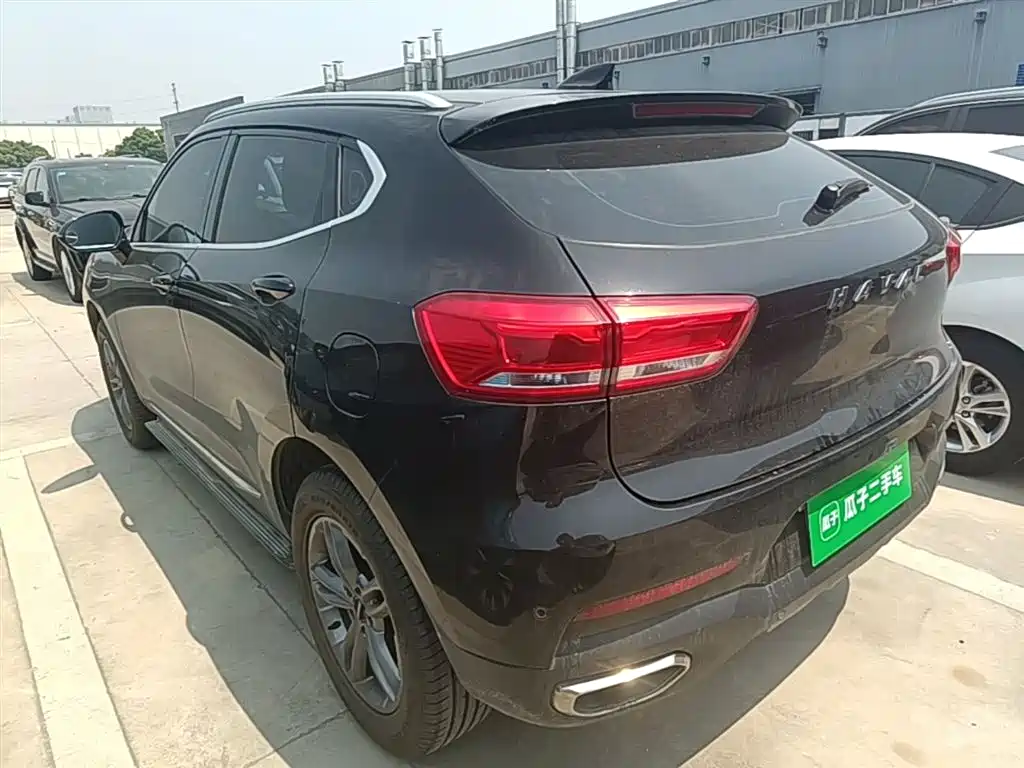 Haval F5 2019 National Trend Edition 1.5T iCool China VI фото 23