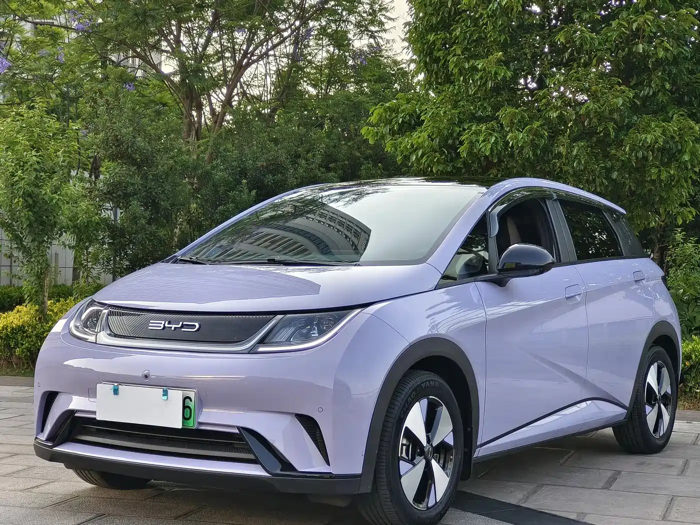 BYD Dolphin 2023 420km Freedom Edition