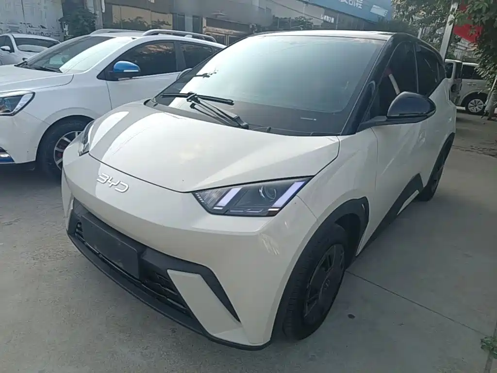 BYD Seagull 2024 Glory Edition 305km Vitality Edition