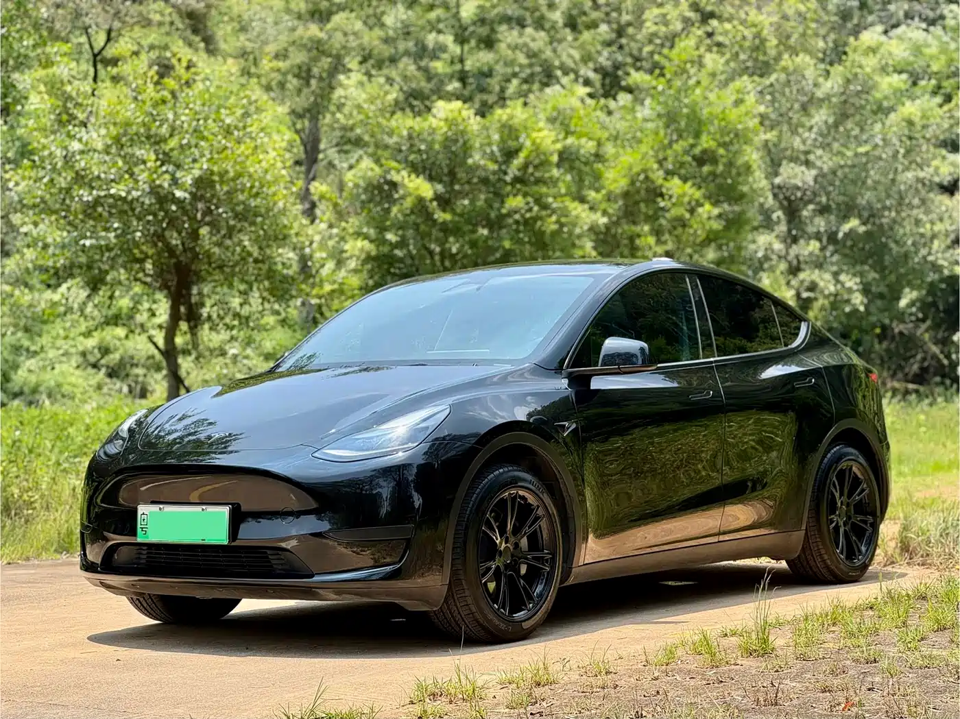 Tesla Model Y 2024