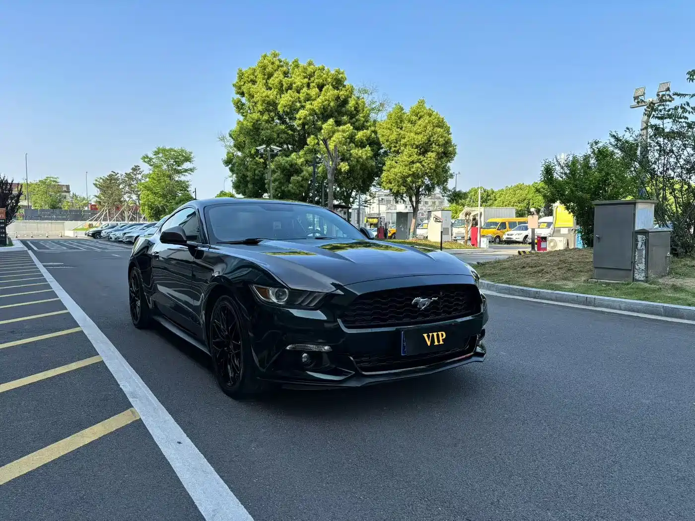 Ford Mustang 2015 2.3T Sport Edition фото 3
