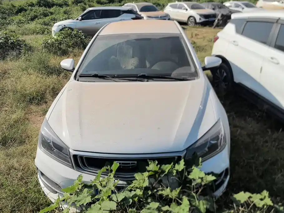 Фото 2 - Geely Emgrand