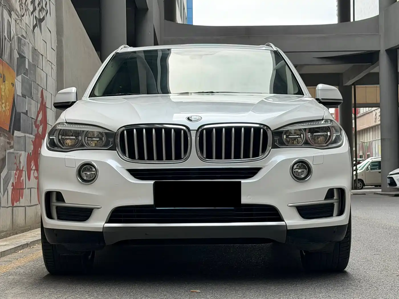 BMW X5 (Import) 2015 Model xDrive35i China Limited Edition фото 2