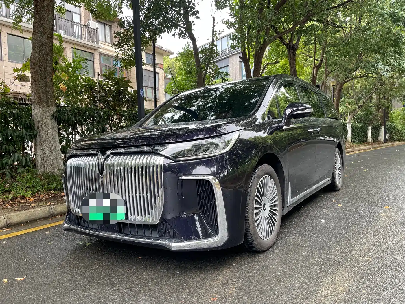 Voyah Auto Voyah Dreamer