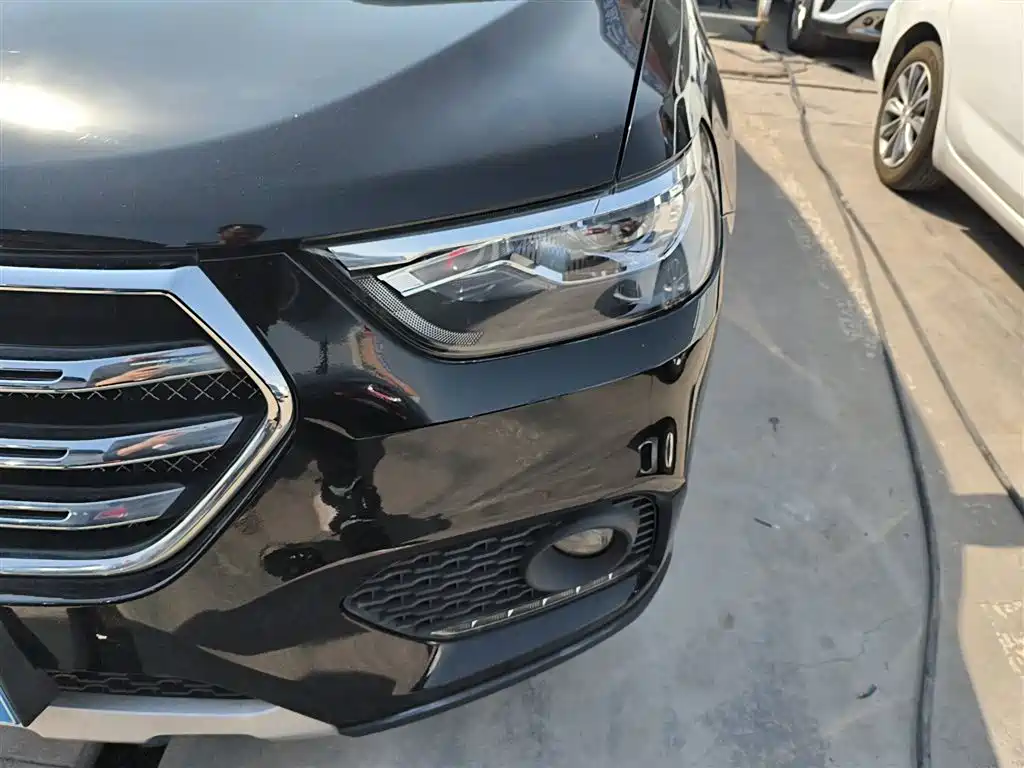 Haval H6 2017 Blue Label Sport 1.5T Auto 2WD Luxury фото 24