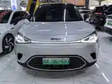 Фото 2 - smart Elf #1