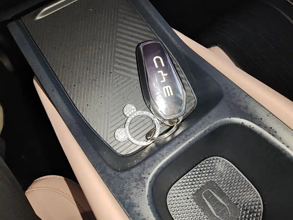 BYD Seagull 2024 Glory Edition 305km Vitality Edition фото 9