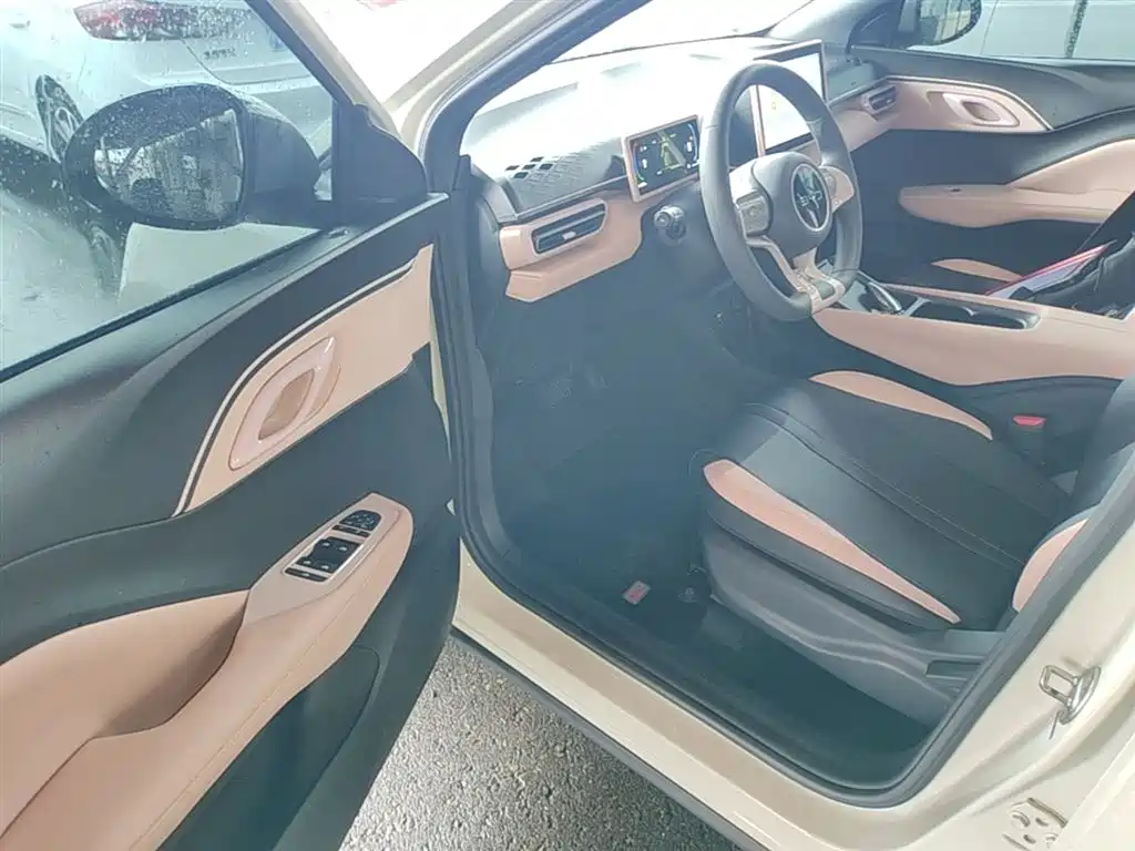 BYD Seagull 2024 Glory Edition 305km Vitality Edition фото 16