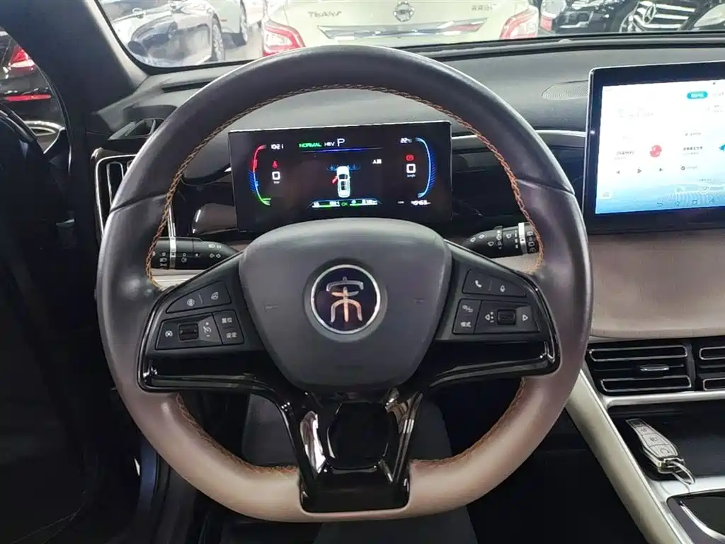 BYD Song Pro New Energy 2023 Champion Edition DM-i 71KM Leading Type фото 11