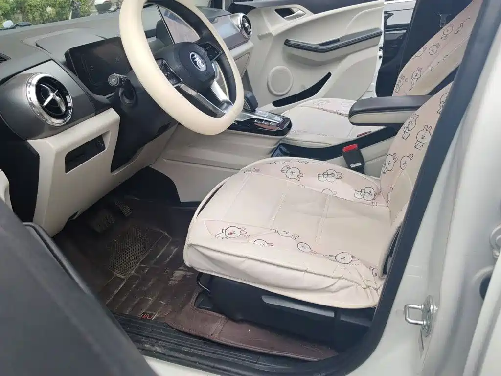 BYD Yuan Pro 2022 2021 401KM Luxury Model