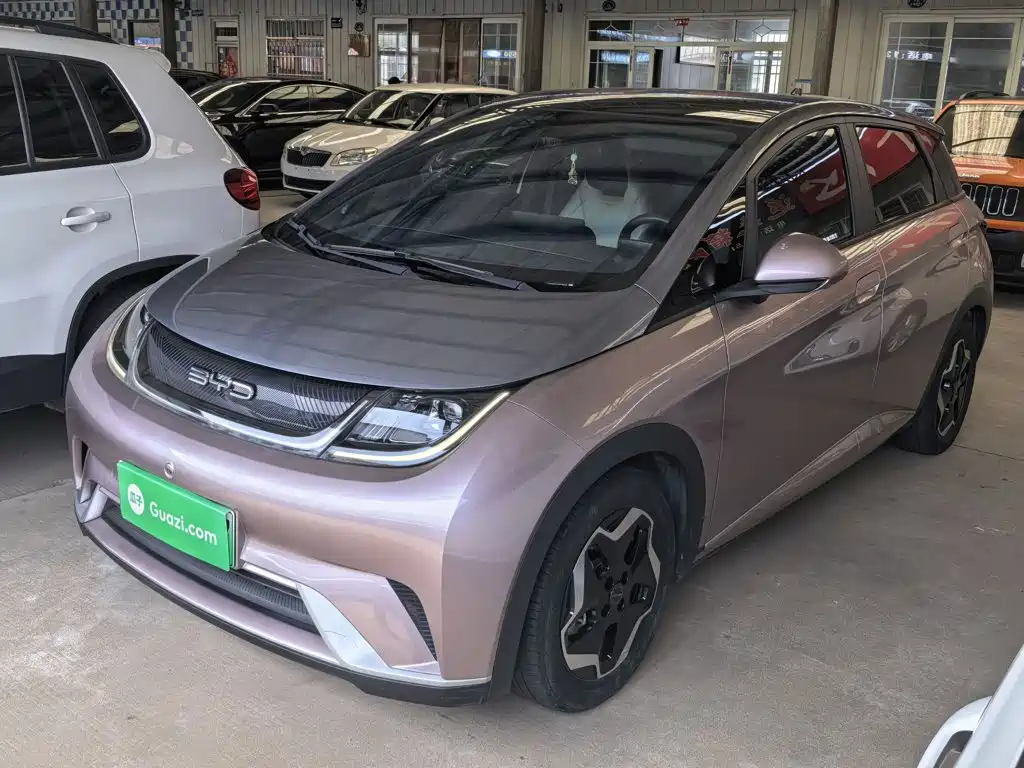 BYD Dolphin 2021