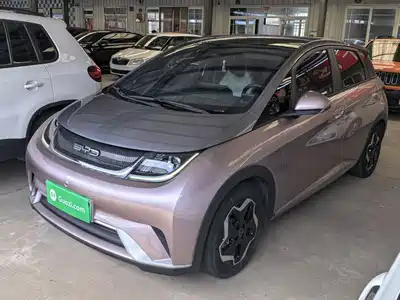 BYD Dolphin