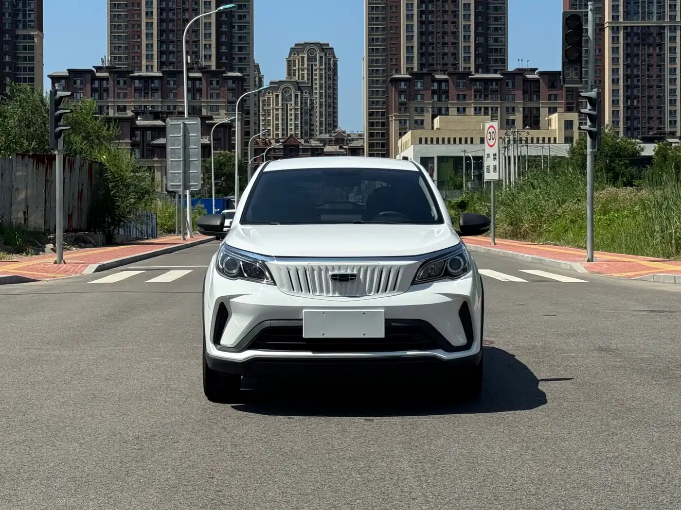 Geely Geometry EX3 Kung Fu Bull 2022 2021 Strong Bull