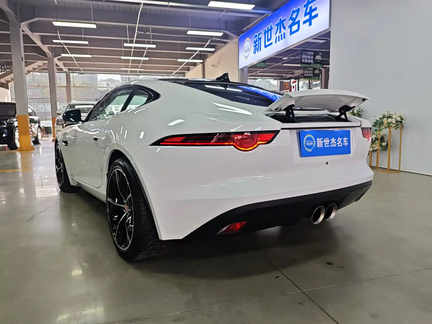 Фото 15 - Jaguar F-TYPE
