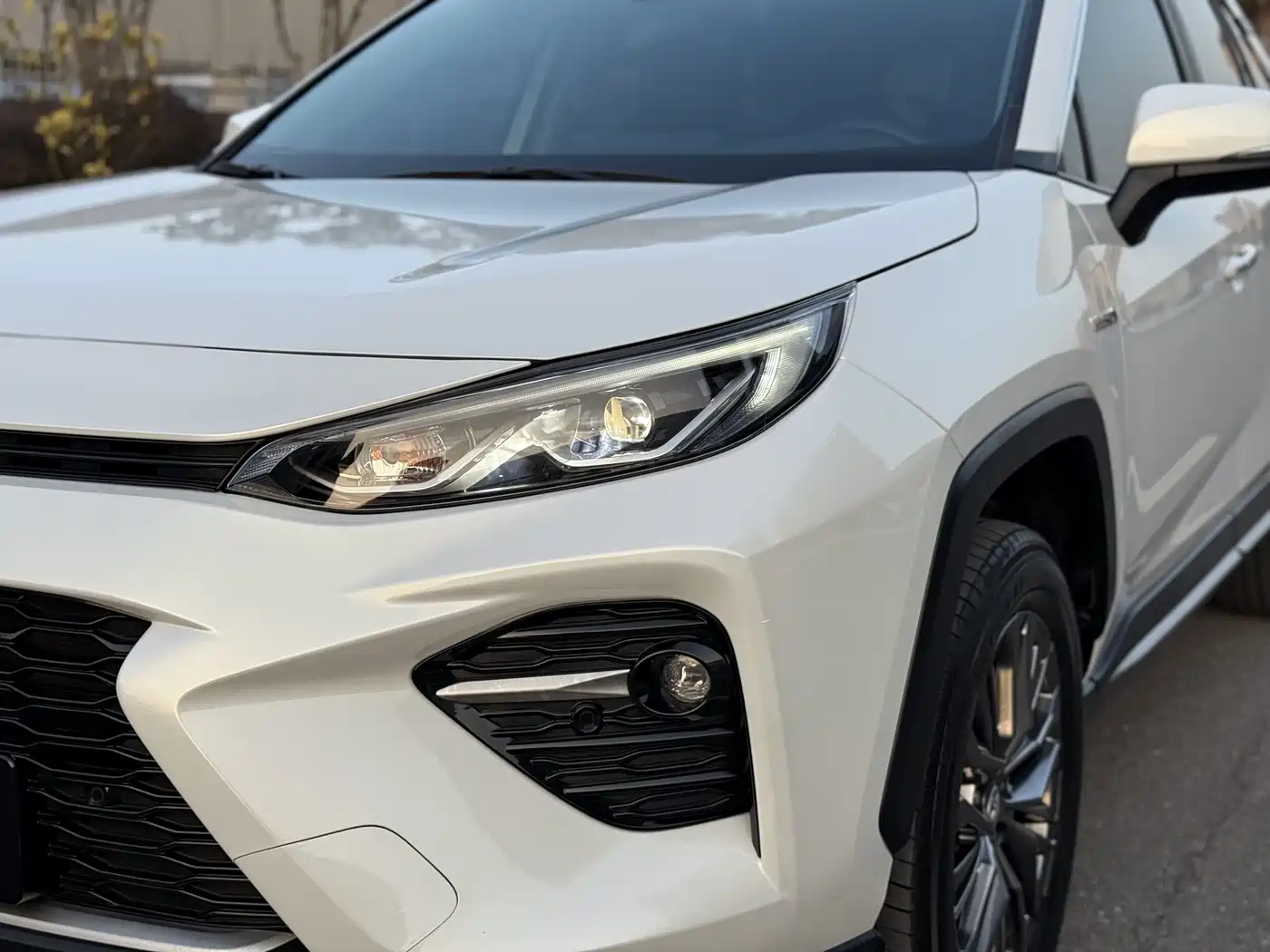 Toyota Wildlander 2023 Hybrid 2.5L E-CVT AWD Premium Edition фото 21