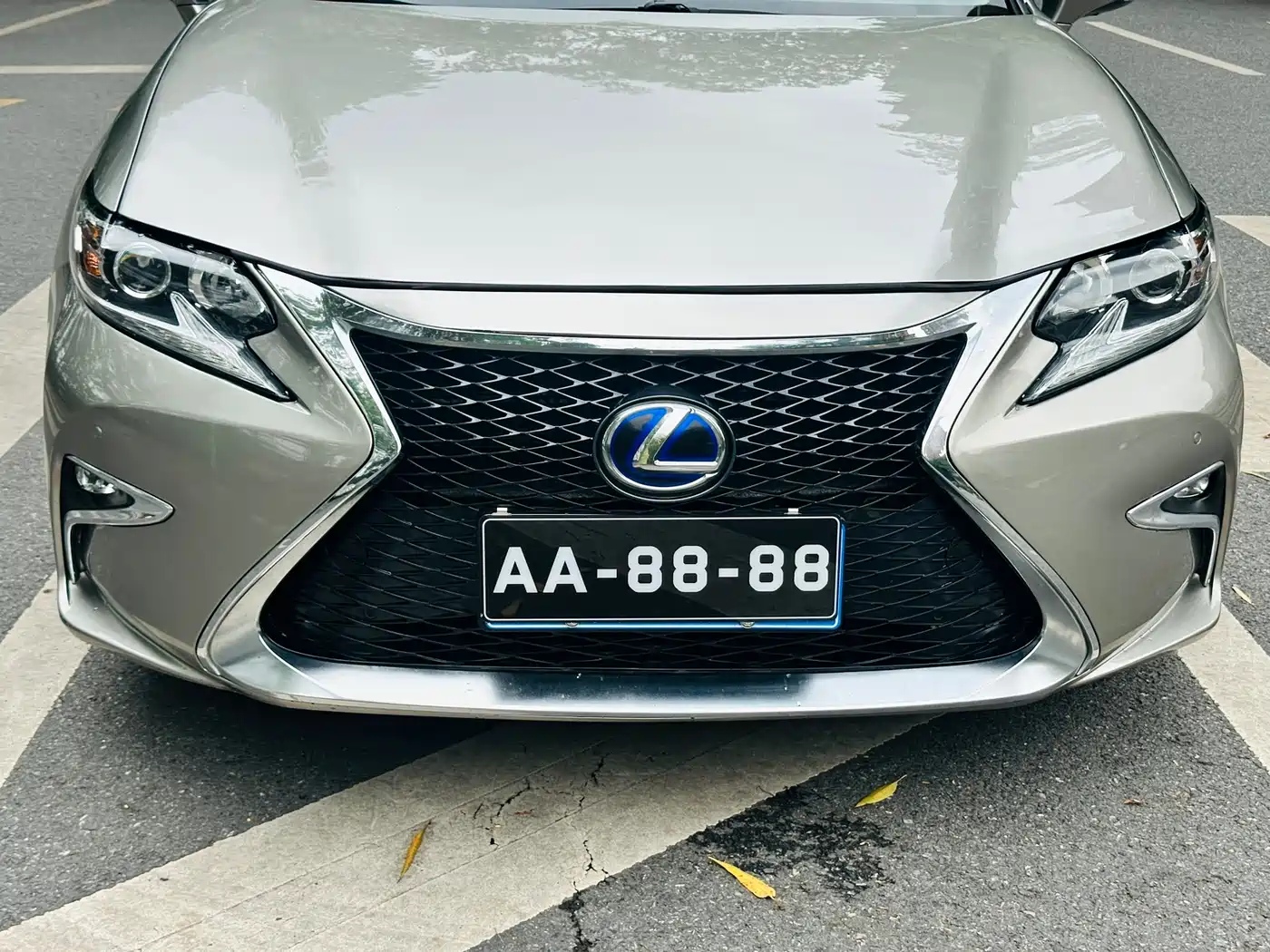 Lexus ES 2015 300h Comfort Edition фото 17