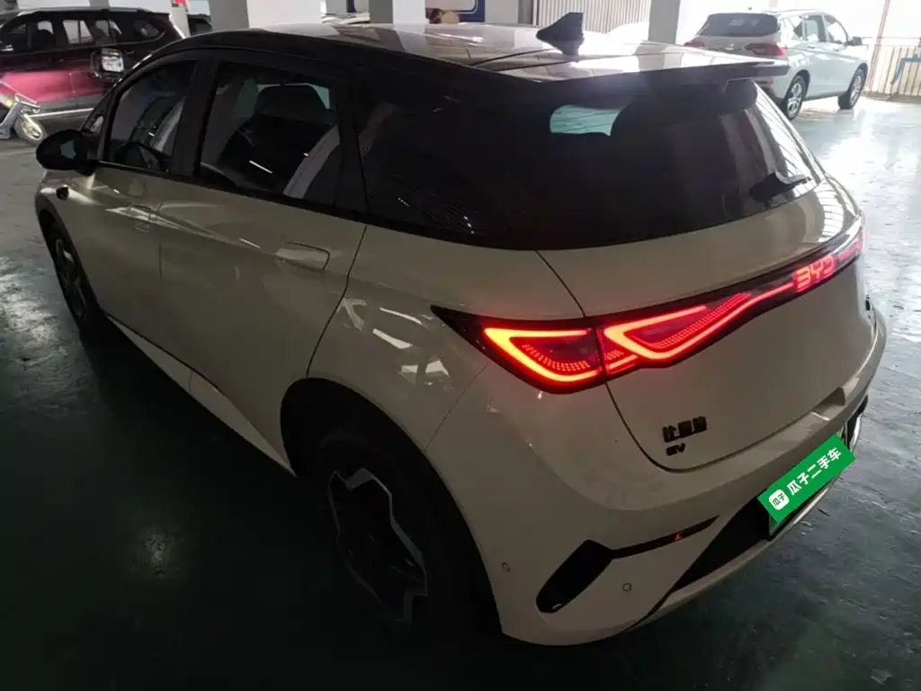 BYD Dolphin 2025 2025 Smart Drive Edition 420km Freedom Version