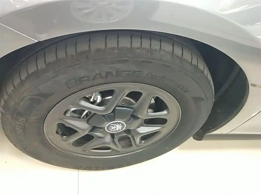 BYD Qin PLUS 2025 DM-i Smart Drive 55KM Leader фото 23