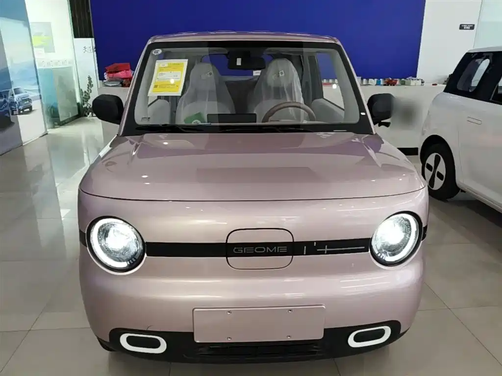 Geely Galaxy Panda 2025 Panda mini 210km Vitality Bear фото 3