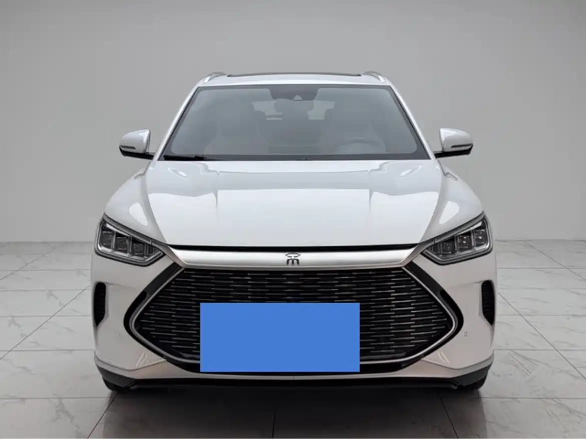 BYD Song PLUS PHEV 2021 DM-i 51KM Honor фото 3