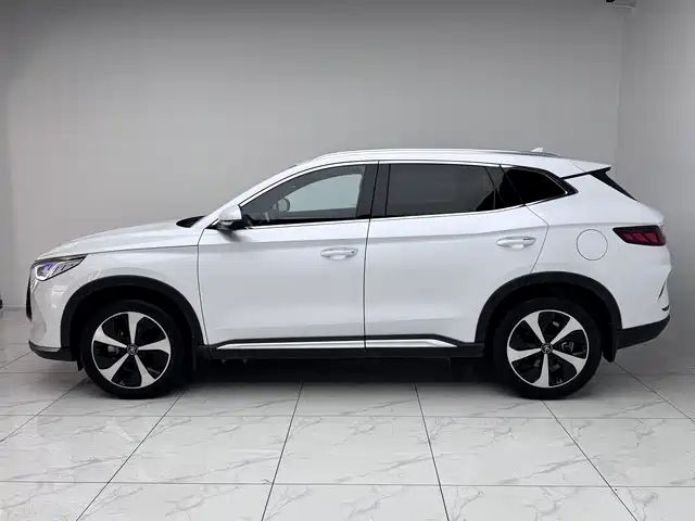 BYD Song PLUS PHEV 2021 DM-i 51KM Honor фото 2