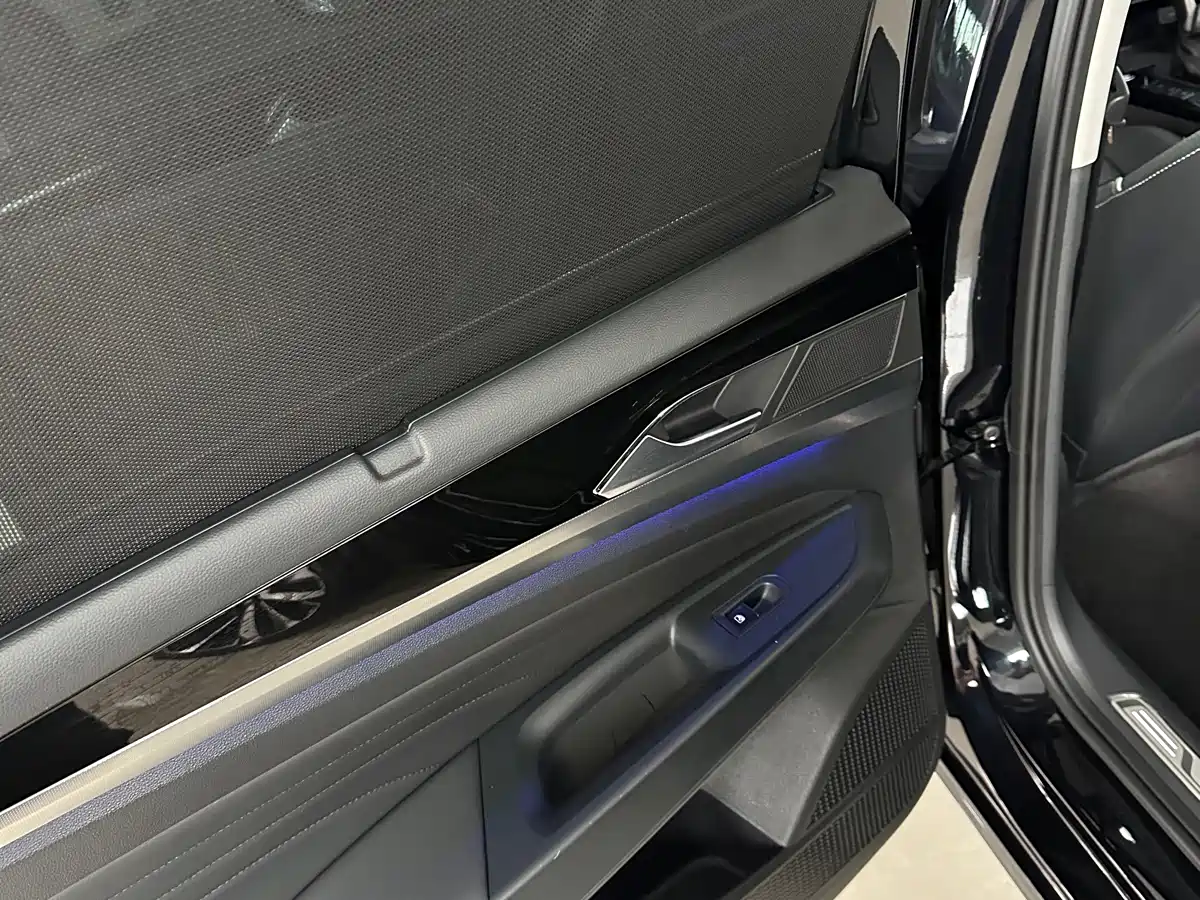 Volkswagen Passat 2022 330TSI Starry Sky Premium Edition фото 17